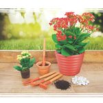 conj-tramontina-78104-801-p-vaso-jogo-4pecas-018465-018465-2