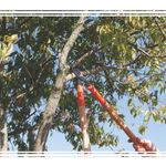 tesoura-tramon-78360-505-cabo-comprido-43cm-028455-028455-3