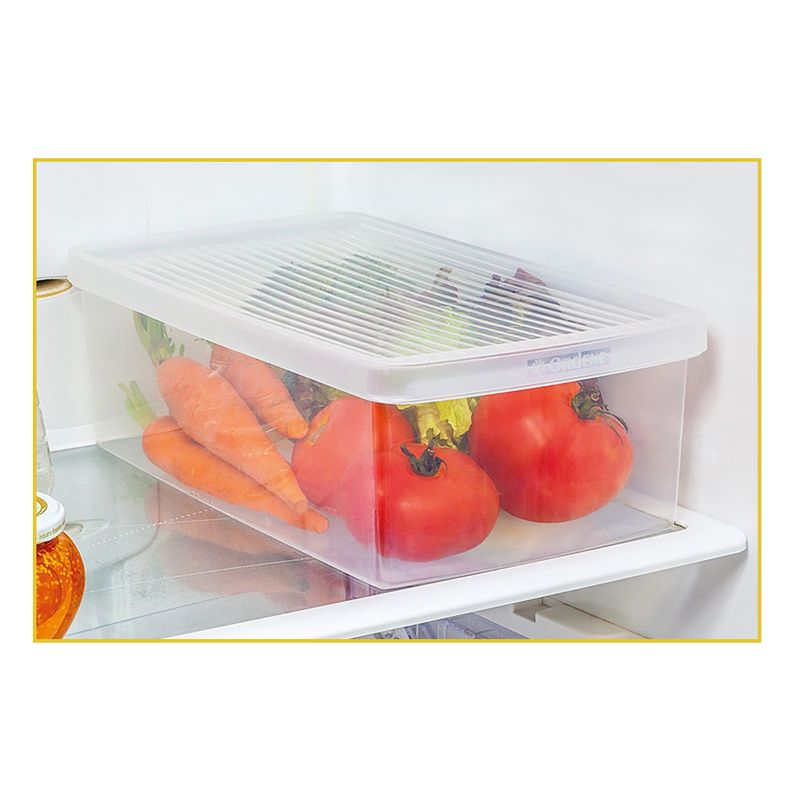 caixa-ordene-p-legumes-e-saladas-m-19x31x10cm-or48011n-102177-102177-2