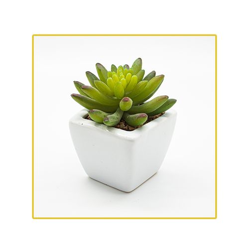 Planta Permanente Decor Suculenta 11cm