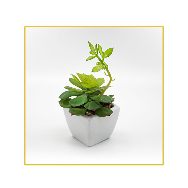planta-permanente-decor-suculenta-c-flor-21cm-ch06707262-096212