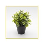planta-permanente-decor-verde-claro-21cm-ch08203581-096216