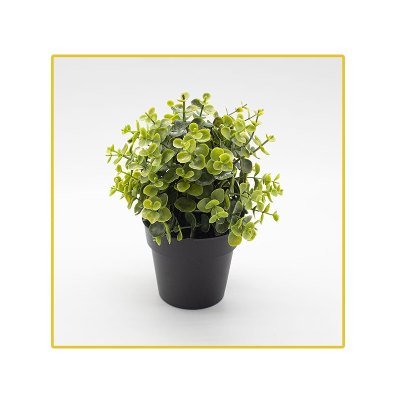 planta-permanente-decor-verde-claro-21cm-ch08203581-096216