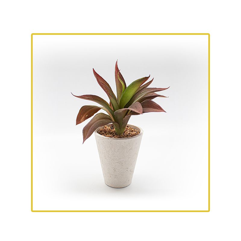 planta-permanente-decor-cacto-25cm-ch06700596-096219