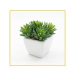 planta-permanente-decor-suculenta-13cm-ch06707261-096224