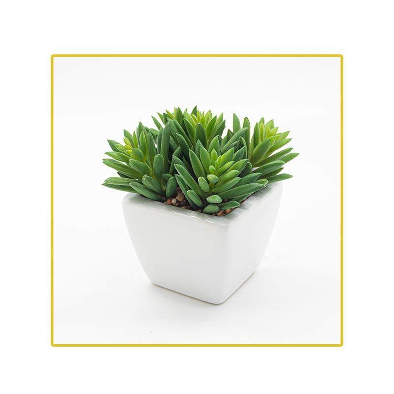 planta-permanente-decor-suculenta-13cm-ch06707261-096224
