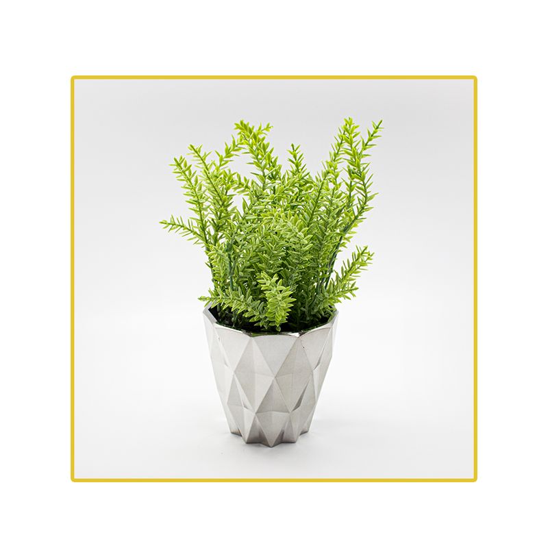planta-permanente-decor-tomilho-2413cm-hd-67949-106732