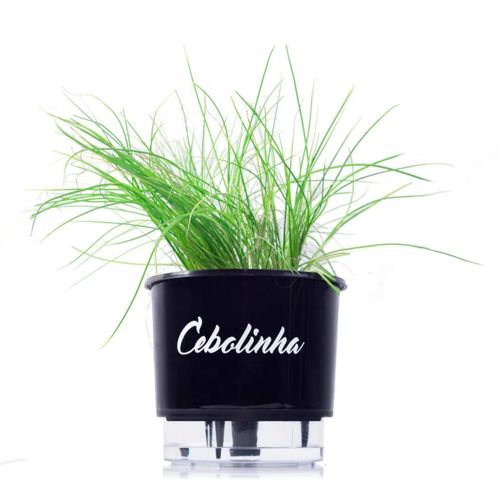 Vaso Autoirrigavel Raiz Cebolinha Preto 03 16X14,3cm 321