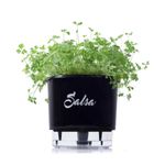 vaso-salsa