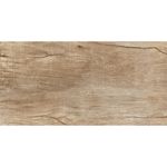 PISO-ELIZABETH-PORC.-ESM.RET-50X100-ANTIQUE-WOOD-AMBER-PEI4