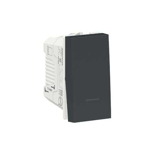 Módulo Schneider Orion Interruptor Paralelo 10A Grafite S70110394