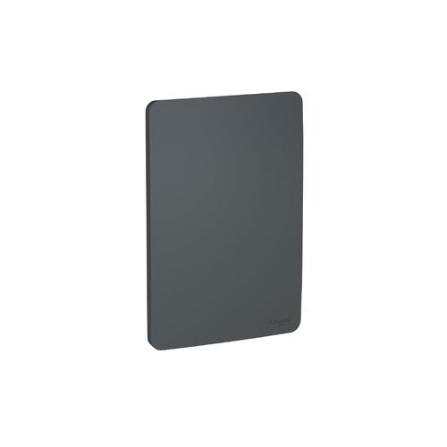 Placa Schneider Orion 4x2 Cega Stellar Black S730100294