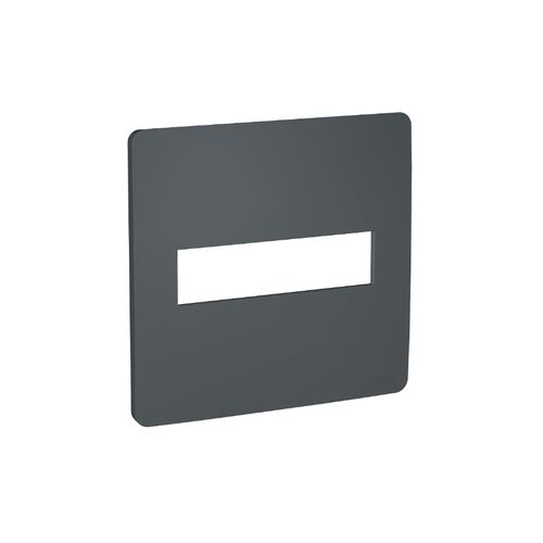 Placa Schneider Orion 4x4 2 Postos Stellar Black S730201294