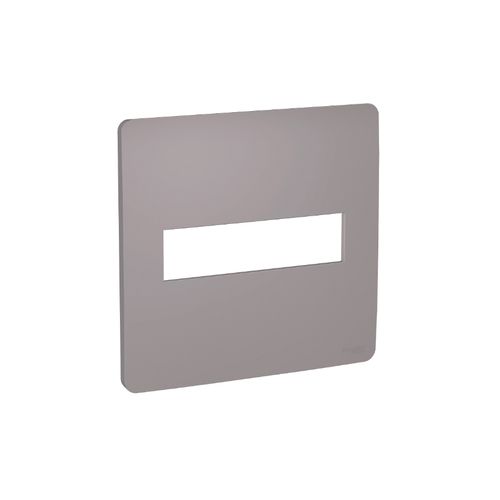 Placa Schneider Orion 4x4 2 Postos Axis Grey S730201224