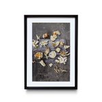 quadro-decor-50x70cm-conchas-wt17-ps0045-106711-106711-1