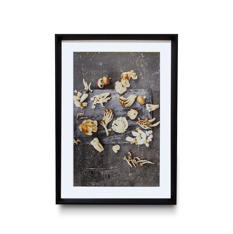 quadro-decor-50x70cm-conchas-wt17-ps0045-106711-106711-1