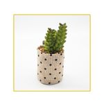 planta-permamente-decor-suculenta-1397cm-hd-67819-106719-106719-1