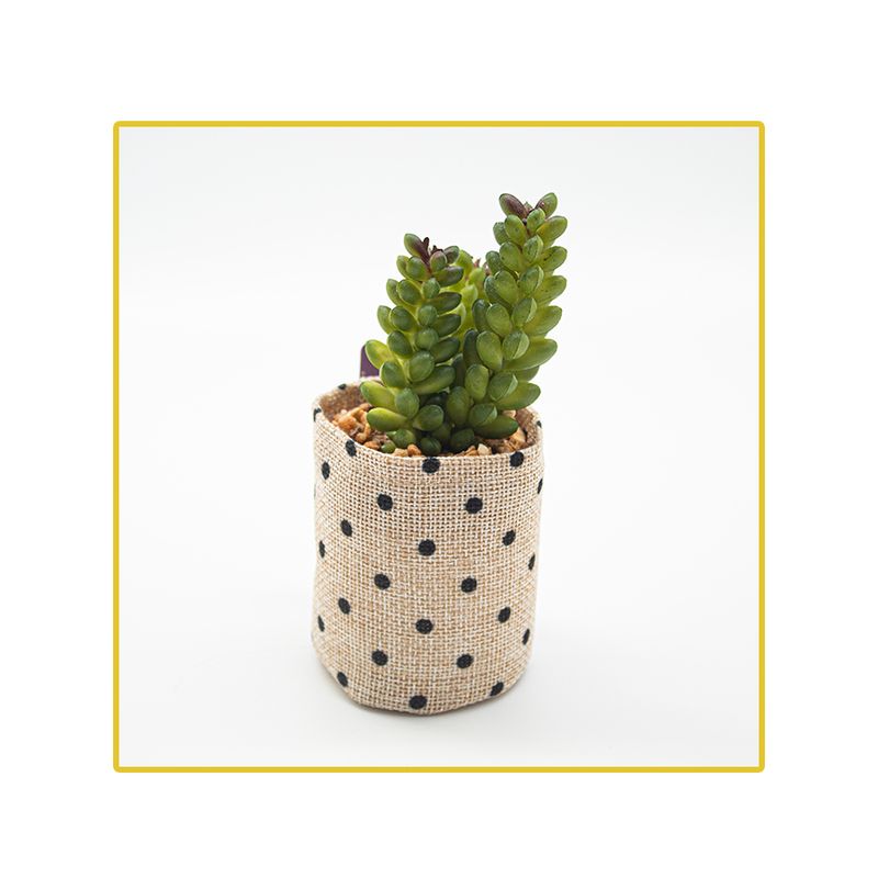 planta-permamente-decor-suculenta-1397cm-hd-67819-106719-106719-1