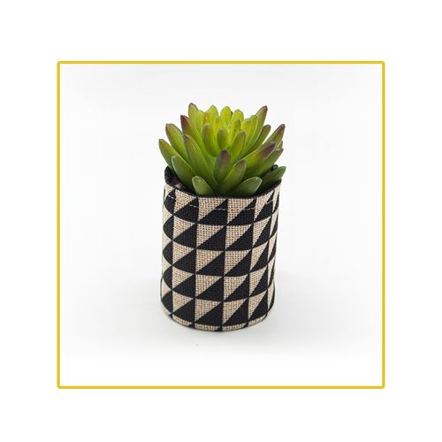 Planta Permanente Decor Suculenta 10,80Cm Hd-67826