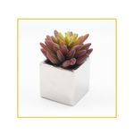 planta-permanente-decor-suculenta-1054cm-hd-67918-106729-106729-1