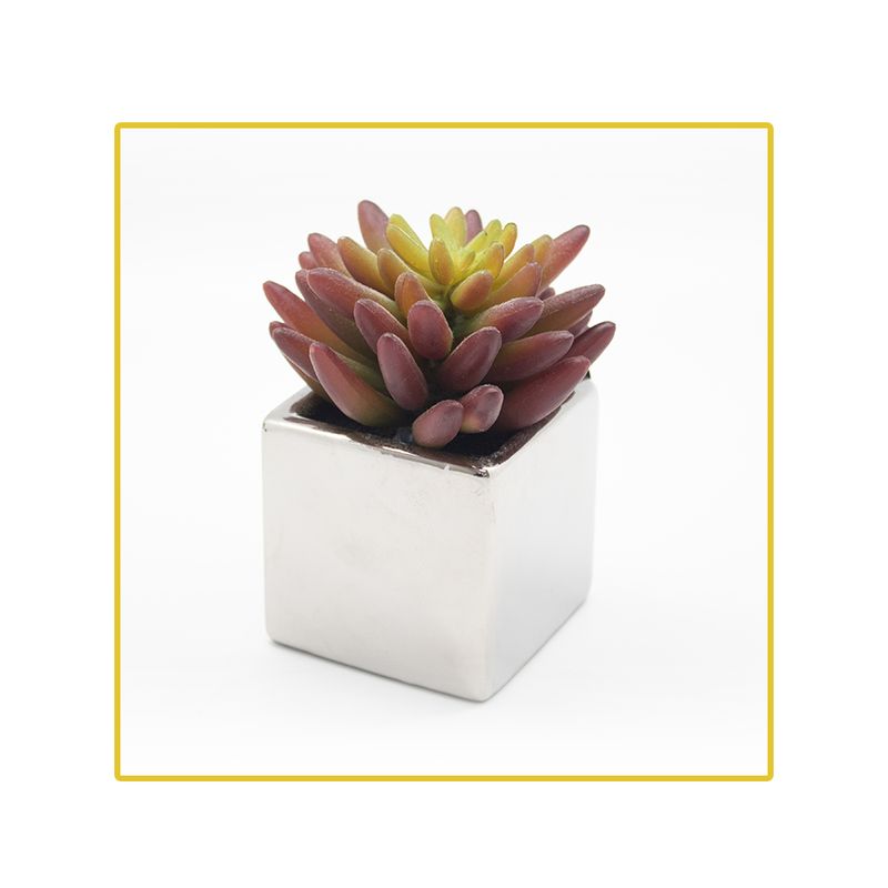 planta-permanente-decor-suculenta-1054cm-hd-67918-106729-106729-1