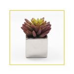 planta-permanente-decor-suculenta-1054cm-hd-67918-106729-106729-6