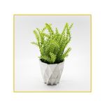 planta-permanente-decor-tomilho-2413cm-hd-67949-106732-106732-1