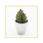 planta-permanente-decor-suculenta-1207cm-hd-67994-106737-106737-1