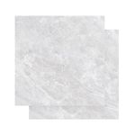 piso-bellacer-58x58-esm-hd-57110-110754-110754-1