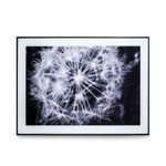 quadro-casa-ok-vidro-40x60cm-dente-de-leao-ok-80320-110069-110069-1