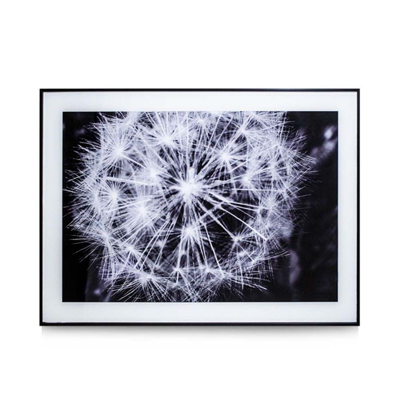 quadro-casa-ok-vidro-40x60cm-dente-de-leao-ok-80320-110069-110069-1