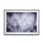 quadro-casa-ok-vidro-40x60cm-dentes-de-leao-ok-80337-110070-110070-1