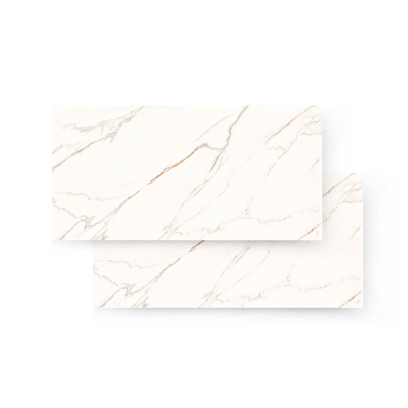 piso-porc-helena-esm-ret-pol-fili-gold-61x120-hpo-120-002-108372-108372-1