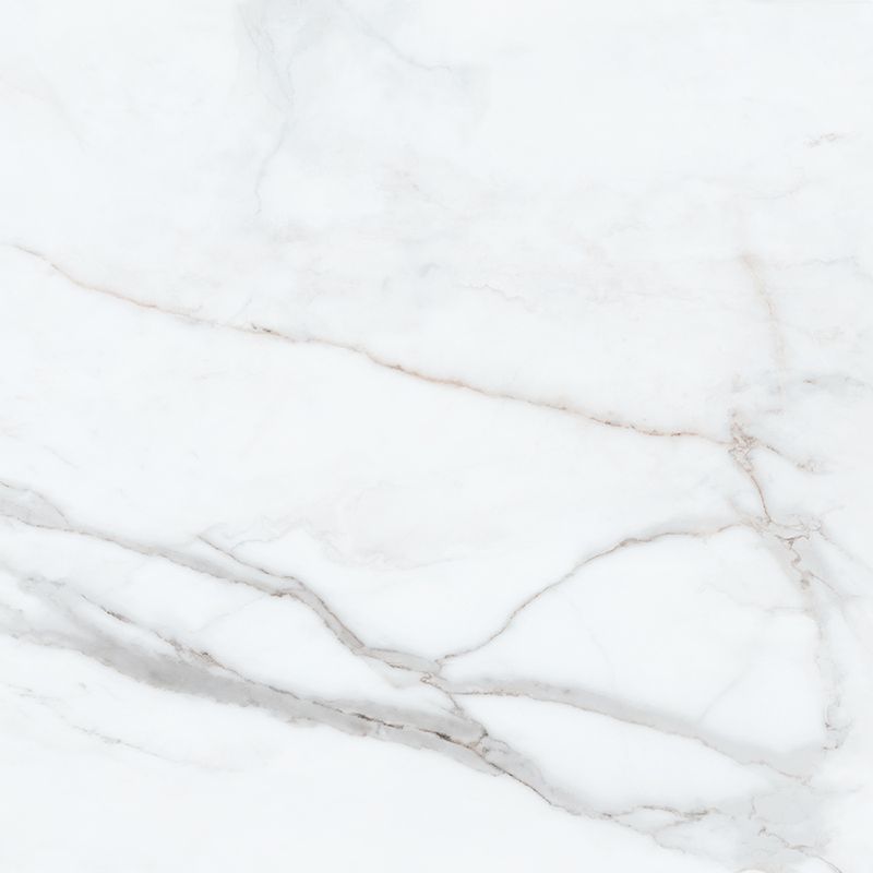 piso-porc-biancogres-pol-60x120-calacata-altis-lux-ci0261u1-111159-111159-5