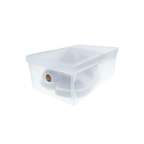 Caixa Organizadora P/Sapato Feminino Protea Transp. 2207.H