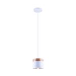 pendente-startec-149260119-lagos-1xe27-br_111808