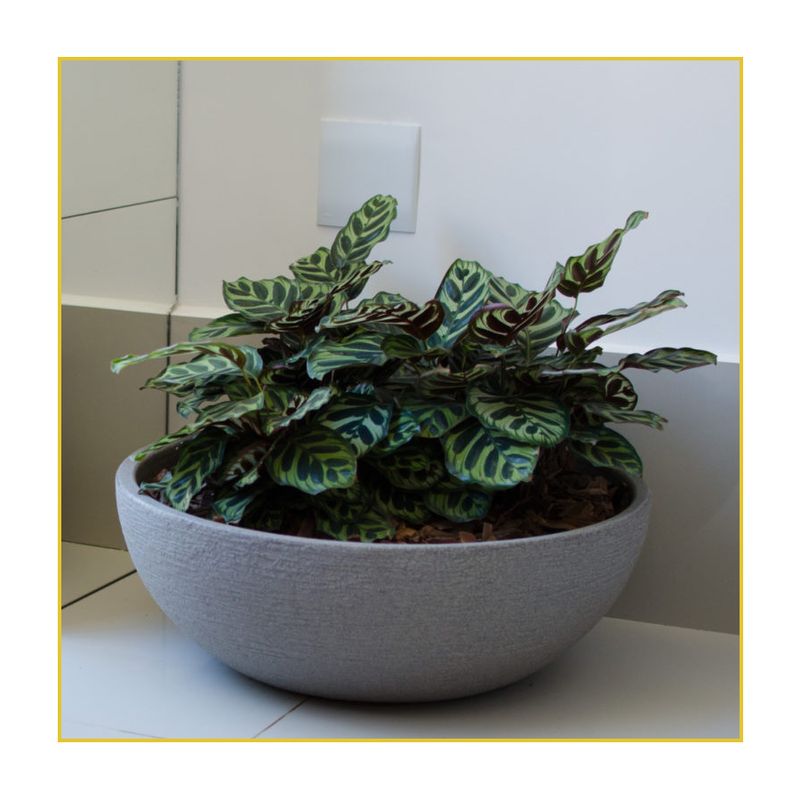 bacia-japi-europa-cimento-23x20x55cm-jveoc55-084098-084098