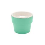 vaso-ou-autoirrigavel-p-verde-vs180_098548