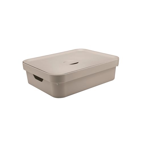Caixa OU Cube Org. C/Tampa 45x35,5x13 CC550 G Bege