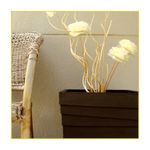 vaso-japi-italia-quadratto-cafe-26x50x36cm-jviqk36-084103-084103