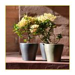 vaso-japi-america-bronze-10x92cm-vamb10-100740-100740