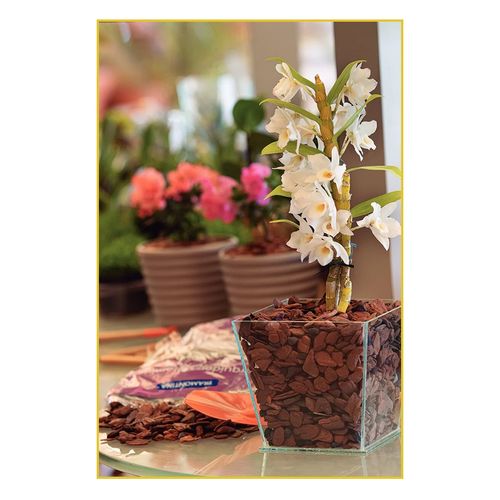 Mix para Orquideas Tramontina 1Kg 91400/020
