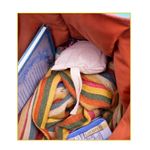 kit-oikos-2-sacos-antimofo-cedro-lav01143nat-113431-113431