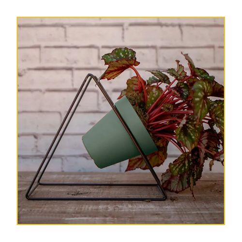 Vaso Palsh Sampa 14X13cm Verde Vintage I.Samp.014.013