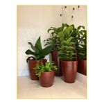 vaso-floridis-amsterda-marmorato-40x45-vermelho-10160551-108824-108824