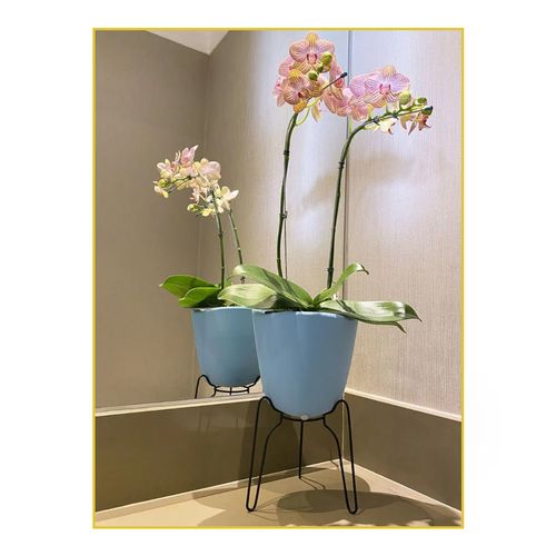 Vaso Floridis Tryas Sup Metal/Mad 17X18 Azul 10160595/0751