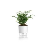 vaso-autoirrigavel-raiz-rain-bow-branco-03-16x143cm-303_102233