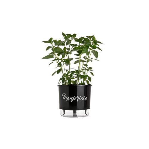 Vaso Autoirrigavel Raiz Manjericão Preto 03 16X14,3cm 323
