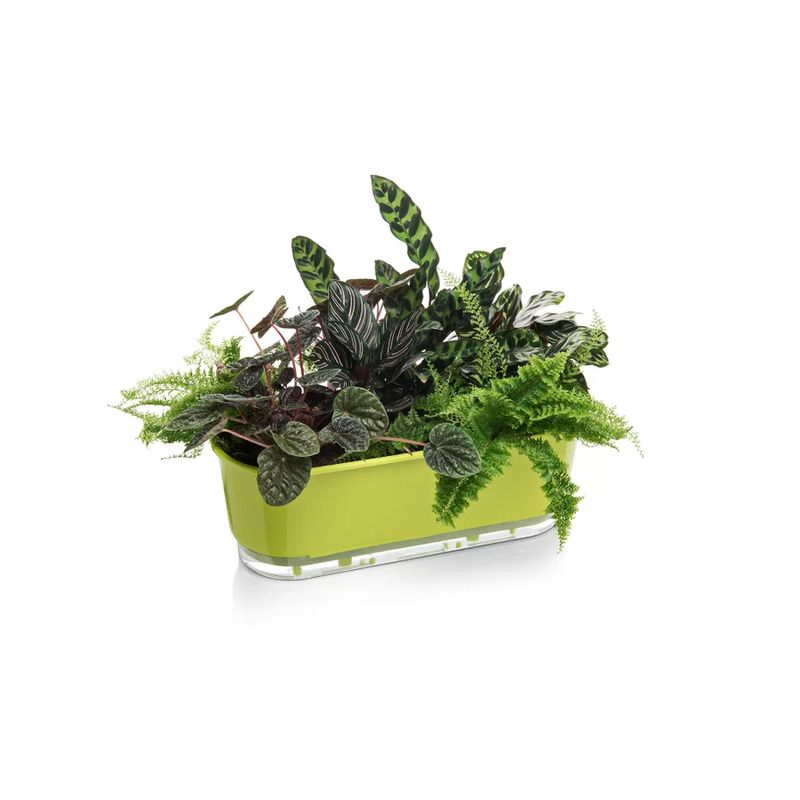 jardineira-autoirrigavel-raiz-rain-bow-verde-40cm-503_102249