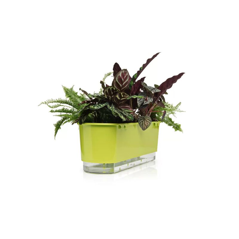 jardineira-autoirrigavel-raiz-rain-bow-verde-40cm-503-102249-102249